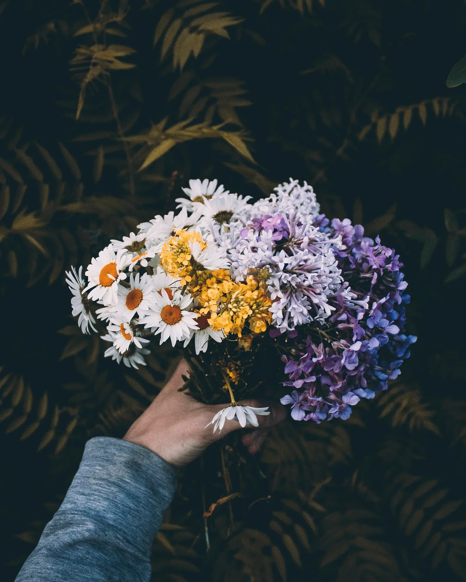 Mão segurando um buquê de flores do campo, com margaridas e flores lilás