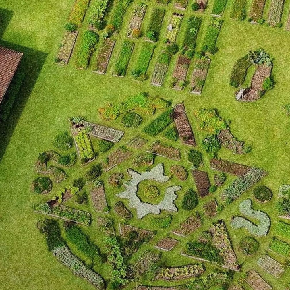 Vista aérea da horta agroecológica do Trilhas do Araçari, com canteiros desenhados em mandala no gramado