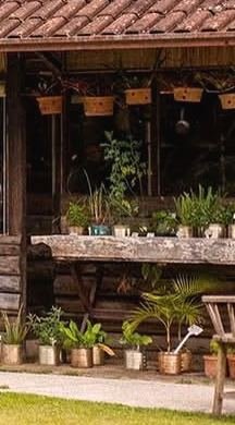 Varanda do salão de madeira com vasos de barro pendurados e plantas